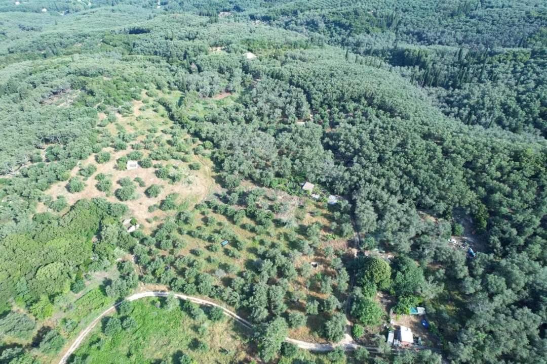 Гостьовий будинок Harry'S Retreat Klimatia Екстер'єр фото